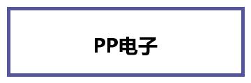 PP电子