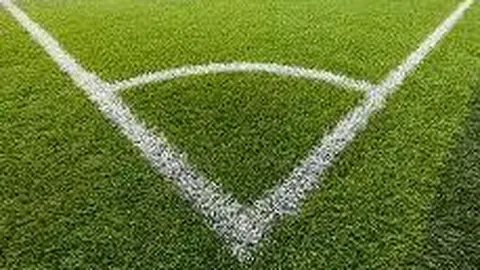 《独家揭秘：凯恩转会巴萨传闻浮出水面，实情揭晓！拜仁铁心续约，锁定未来锋线核心》